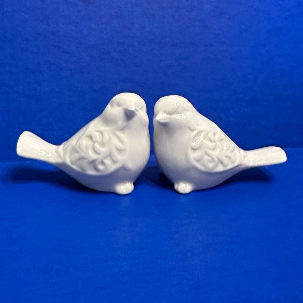 Pier 1 Imports Birds Chickadees White Textured Ceramic Salt and Pepper Shakers